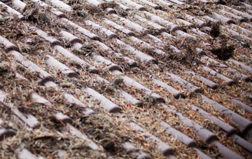 King Edward roof cleaning companies