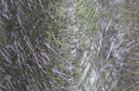 King Edward fibreglass roof work